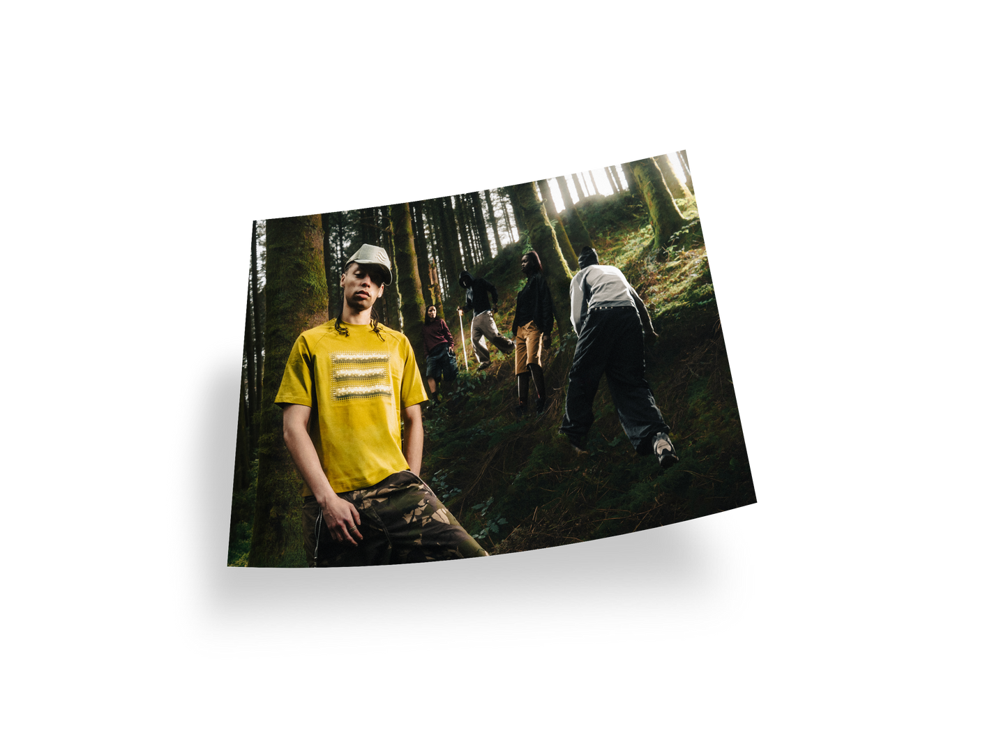 FOREST POSTER