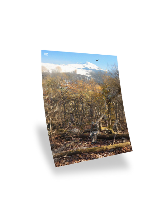 TIMBERLOCK POSTER