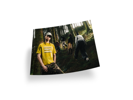 FOREST POSTER